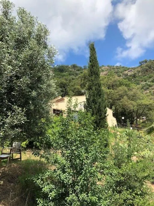Nouveau ! Pleine Nature Et Vue Mer Au Lavandou Le Lavandou Frankrig